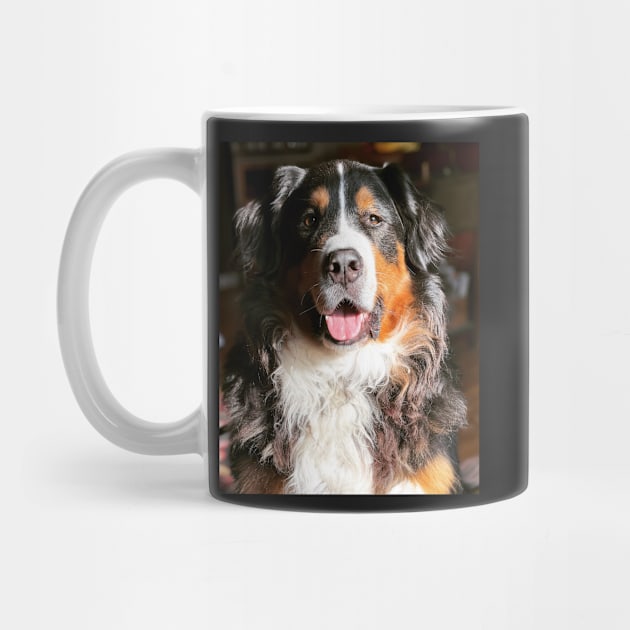 Galileo-Bernese by ephotocard